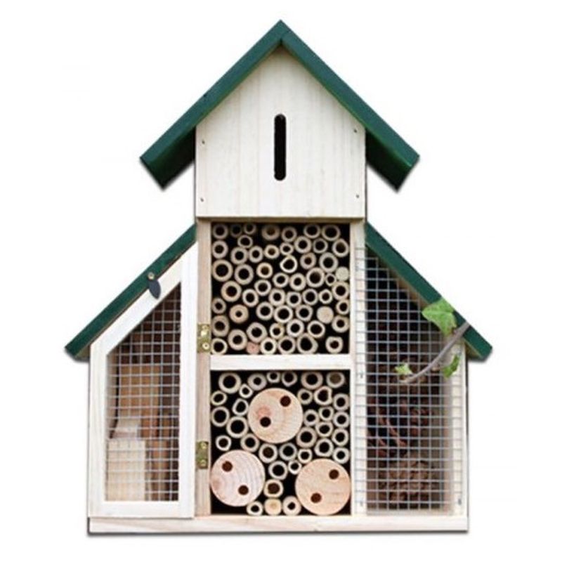 Insect Home
