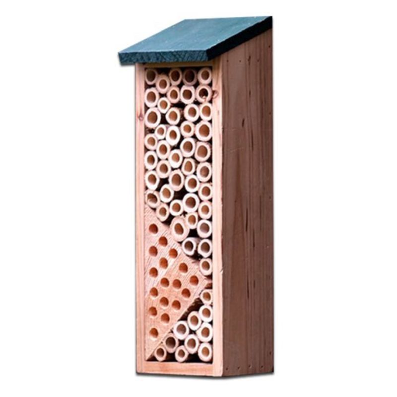 Solitary Bee & Wasp House