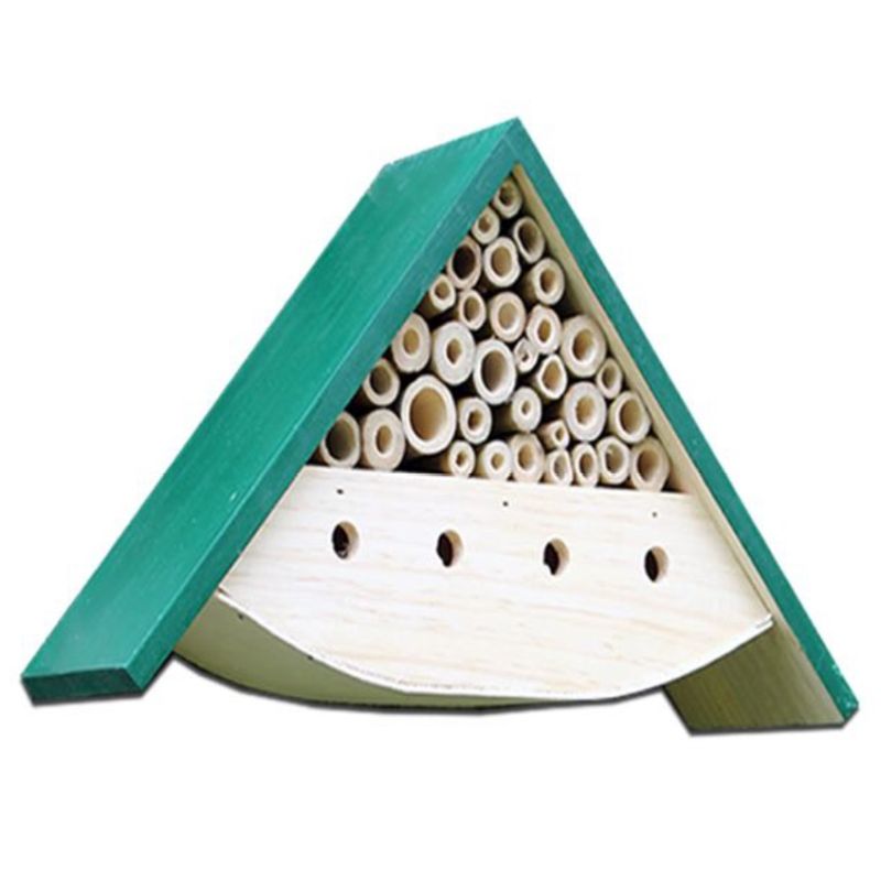 Apex Insect House