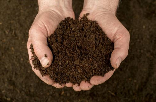 Compost & Soil